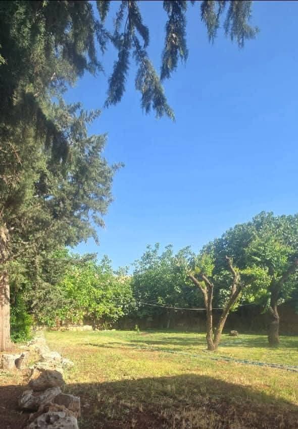 Madaya Villa with Pool & Garden