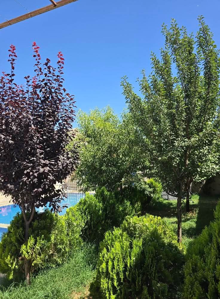 Spacious Villa with Pool in Zabdean